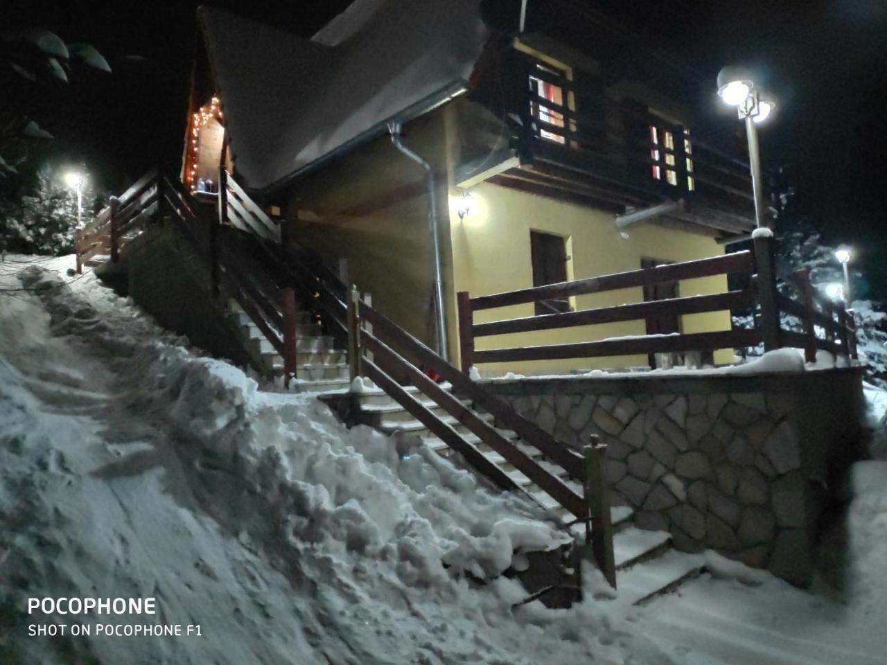 Apartment Isidora Kopaonik Bagian luar foto